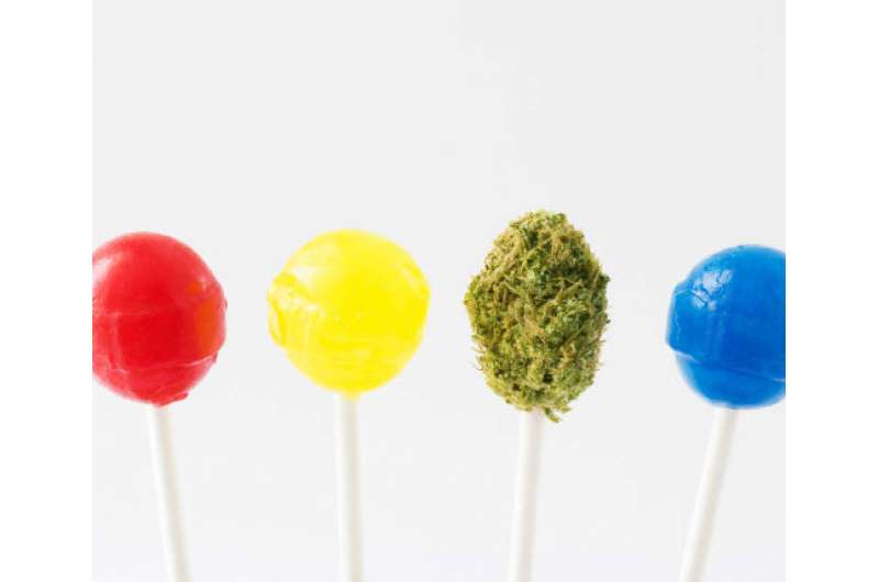 Study finds that improvements are needed for edible marijuana product labels to ensure safety