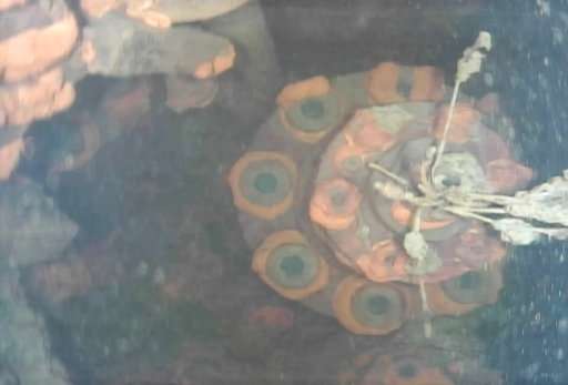 Swimming robot probes Fukushima reactor to find melted fuel