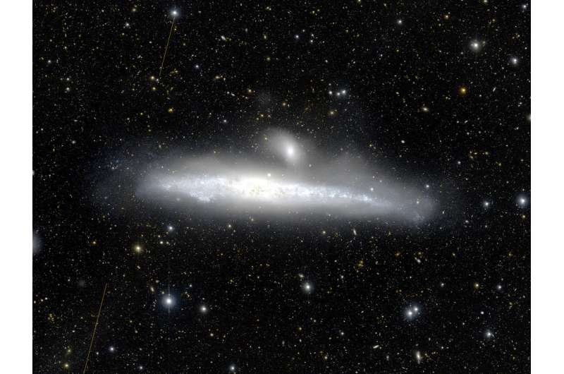Uncovering the origins of galaxies' halos
