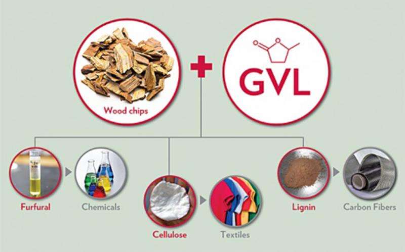 Researchers convert 80 percent of biomass into high-value products via new strategy