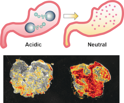 Scientists develop micromotors that neutralize gastric acid and release drugs depending on pH