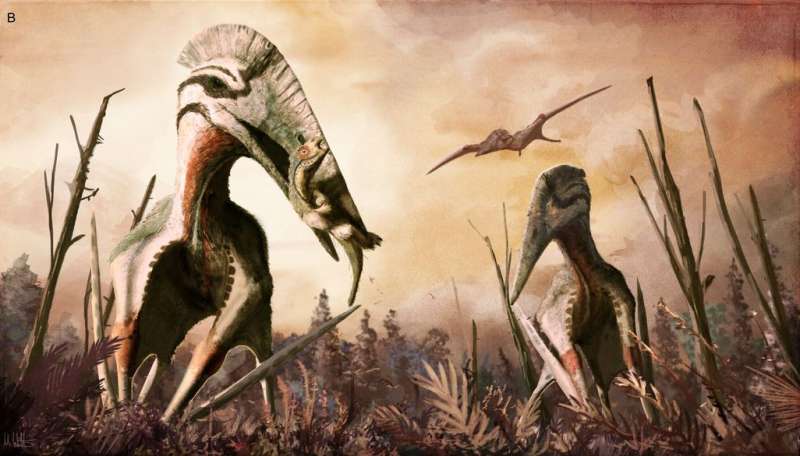 Fossils of giant pterosaurs found in Transylvania