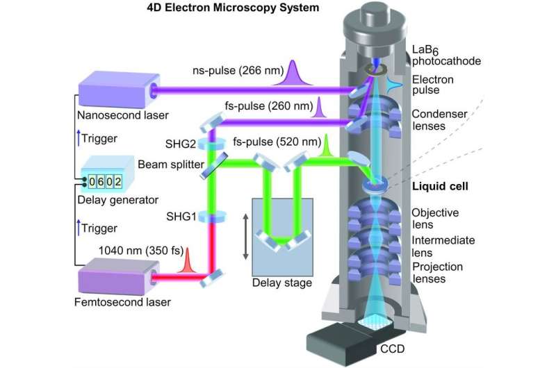 Combining pulsed laser with electron gun allows for capturing fast motion of nanoparticles in a liquid