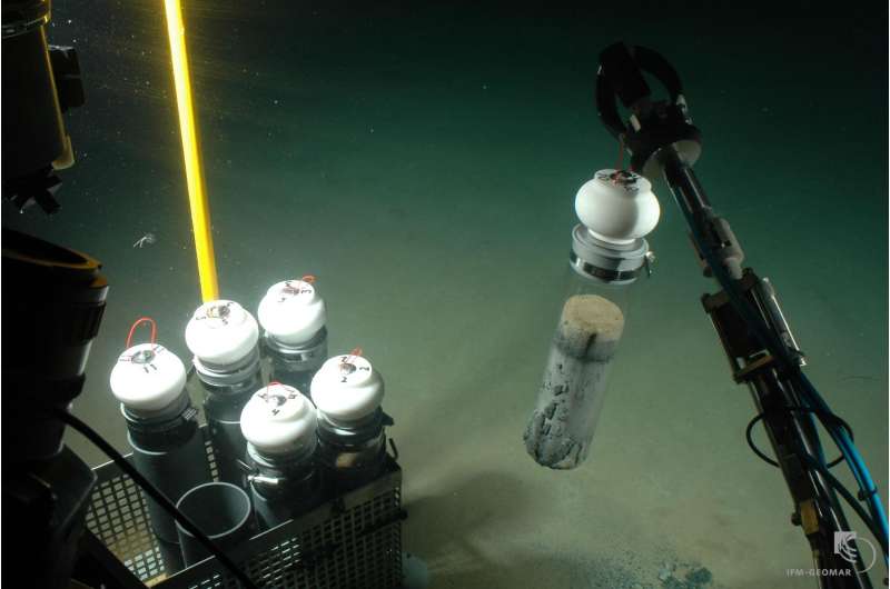 Black Sea study shows short-term oxygen loss at sea bottom can drive out organisms for long periods