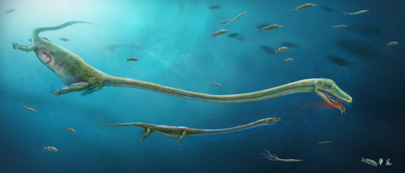Long-dead reptile gave live birth, study says
