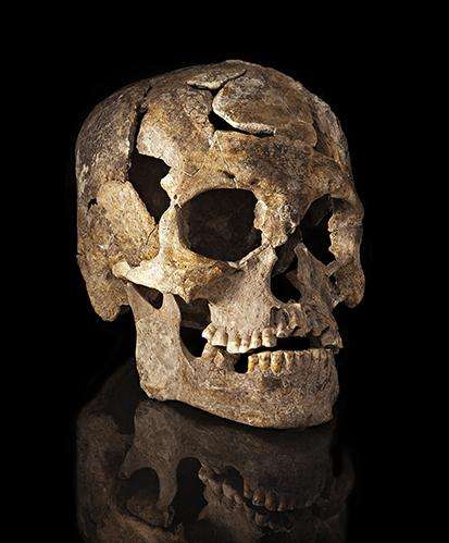 Study of ancient skulls suggest there may have been multiple migrations into the Americas