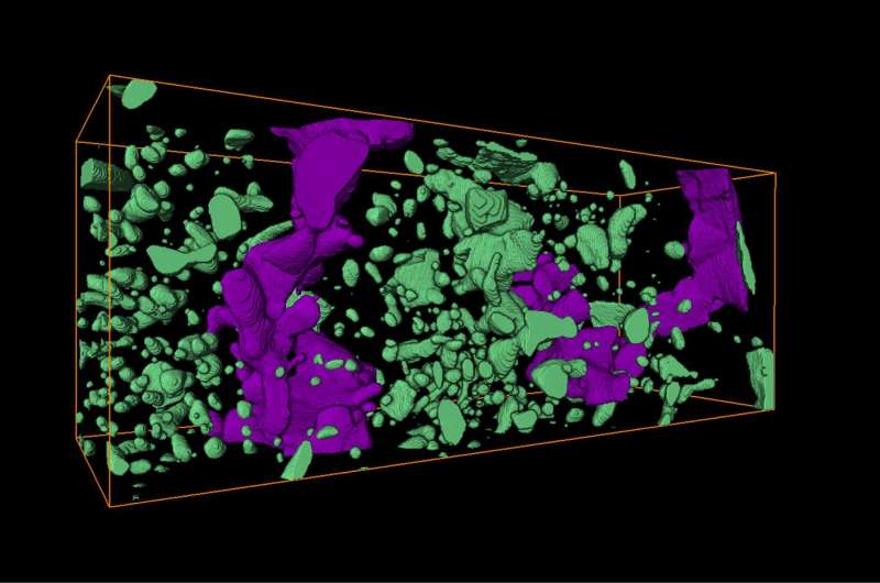 Garnet crystal microstructures formed during ancient earthquake provide evidence for seismic slip rates along a fault