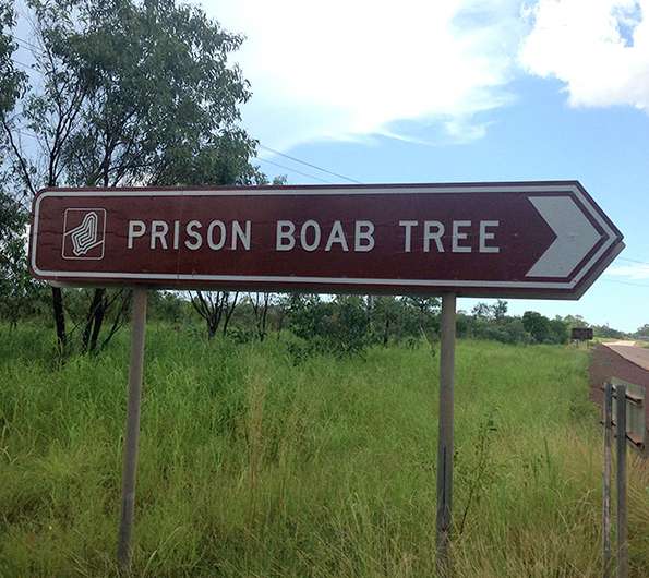 Dark tourism has grown around myth of prison tree