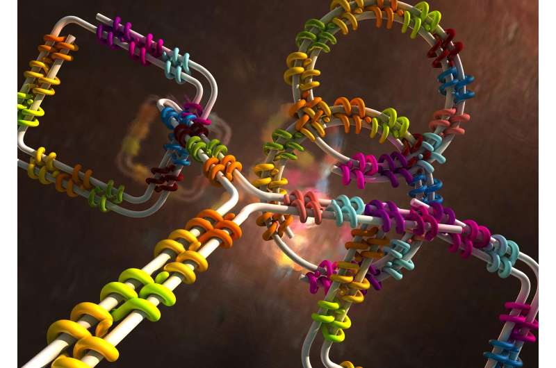 Biophysicists construct complex hybrid structures using DNA and proteins