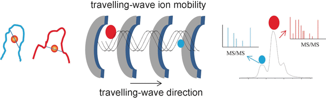 Travelling-wave ion mobility mass spectrometry elucidates structures of gold fingers