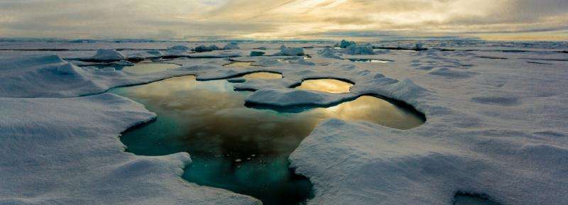 Melting sea ice may lead to more life in the sea