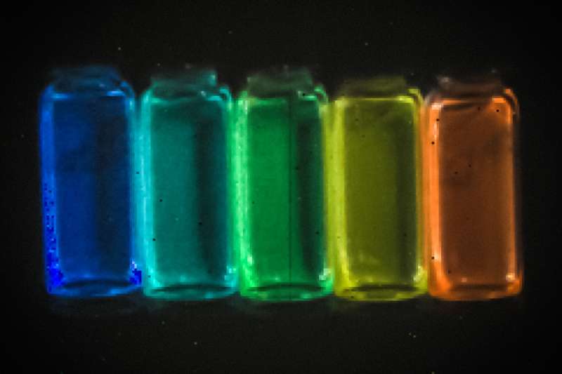 Quantum dots that emit infrared light open new window for biological imaging