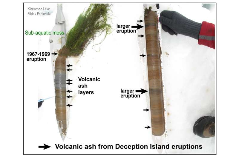 Antarctic penguin colony repeatedly decimated by volcanic eruptions