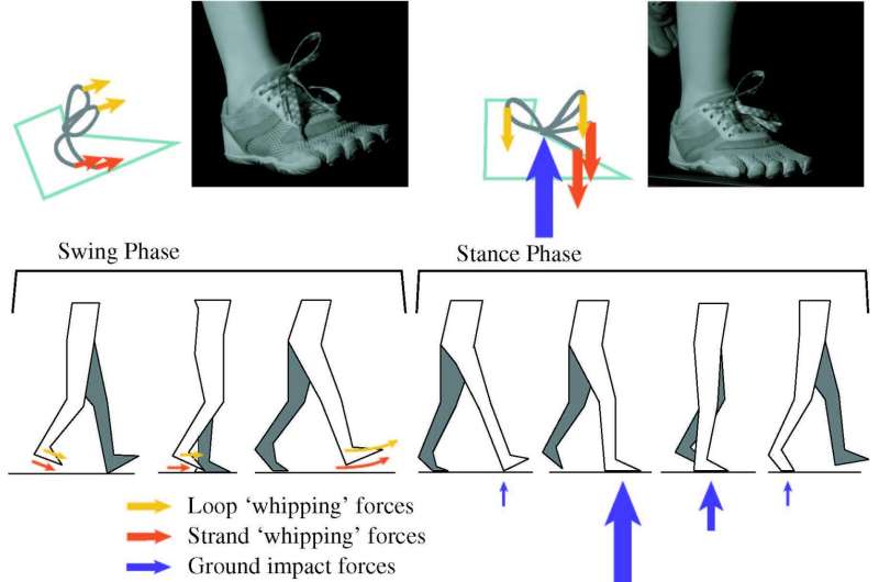 Shoe-string theory: Science shows why shoelaces come untied