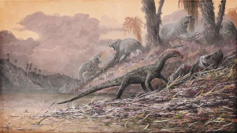 Discovery of early, 'croc-like' reptile sheds new light on evolution of dinosaurs