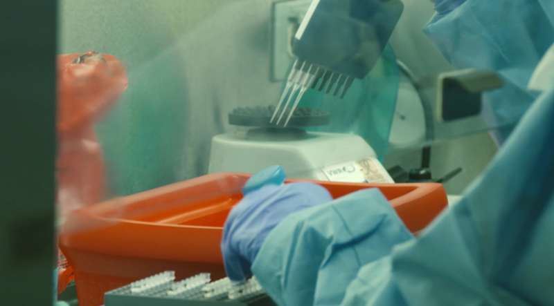Scientists unveil CRISPR-based diagnostic platform