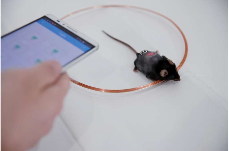 Using a smartphone and engineered cells to control diabetes in mice