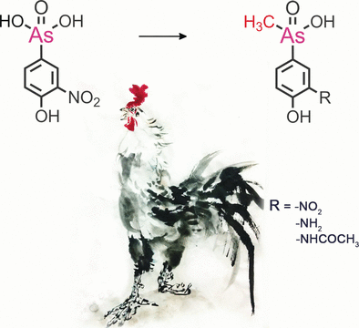 Methylated phenylarsenical metabolites identified in chicken livers