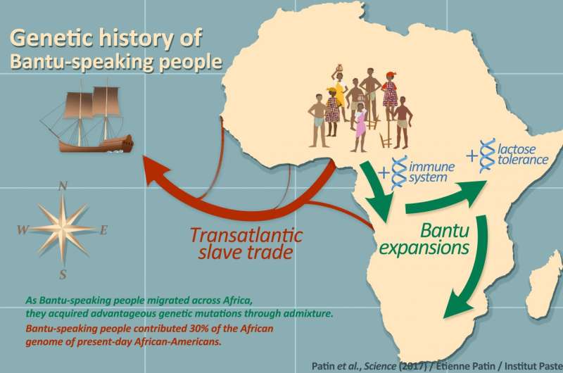 Genetic analysis reveals patterns of migration of early Bantu speaking people