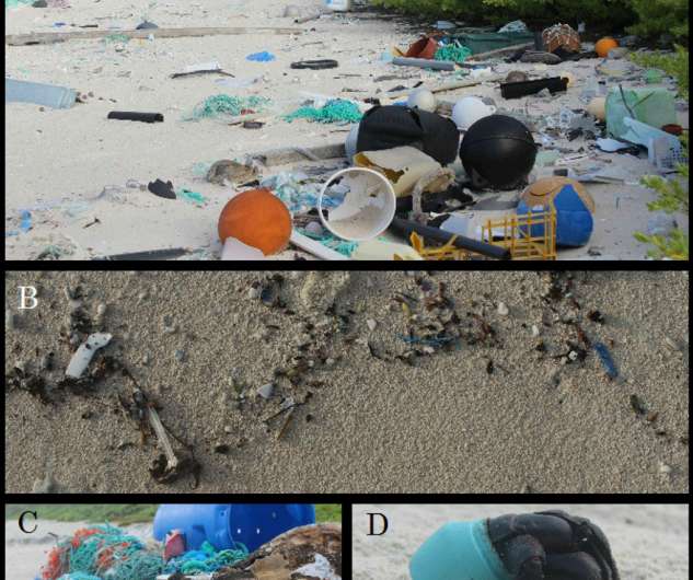 No escaping ocean plastic: 37 million bits of litter on one of world's remotest islands