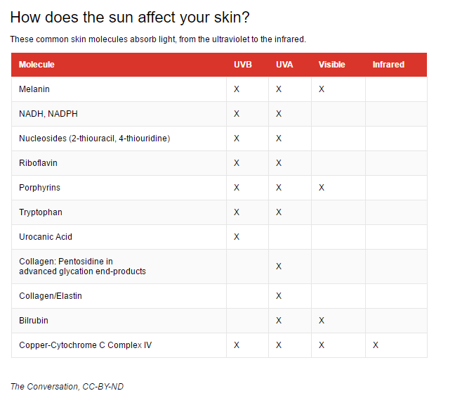 How do the chemicals in sunscreen protect our skin from damage?
