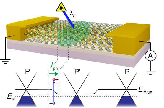 A way to engineer photoactive junctions in iron-chloride-intercalated graphene using a laser
