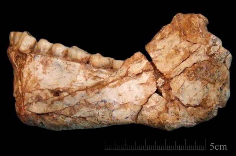 Scientists discover the oldest Homo sapiens fossils at Jebel Irhoud, Morocco
