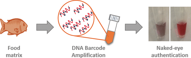 Simplified DNA barcoding technique enables food authentication with the naked eye