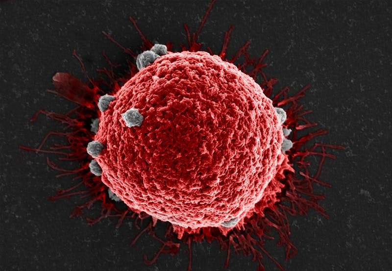 A new weapon for the war on cancer