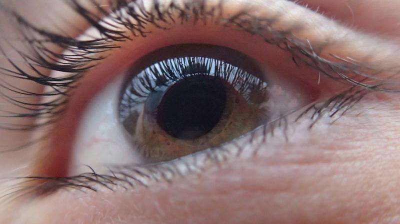 Combination of type 2 diabetes and sleep apnoea indicates eyesight loss within four years