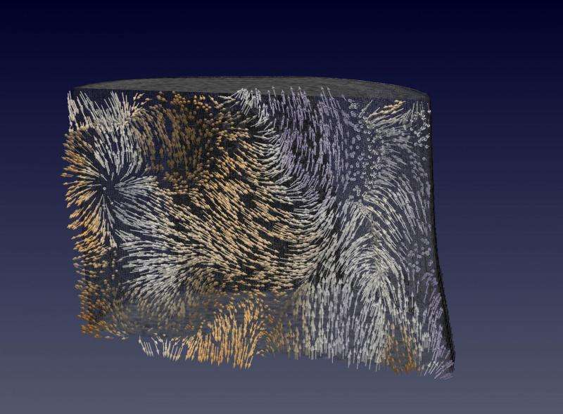 First-time 3-D imaging of internal magnetic patterns
