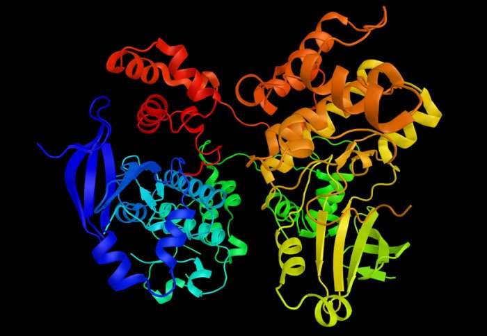 'Twinkling' enzymes could light the way to better cancer drugs