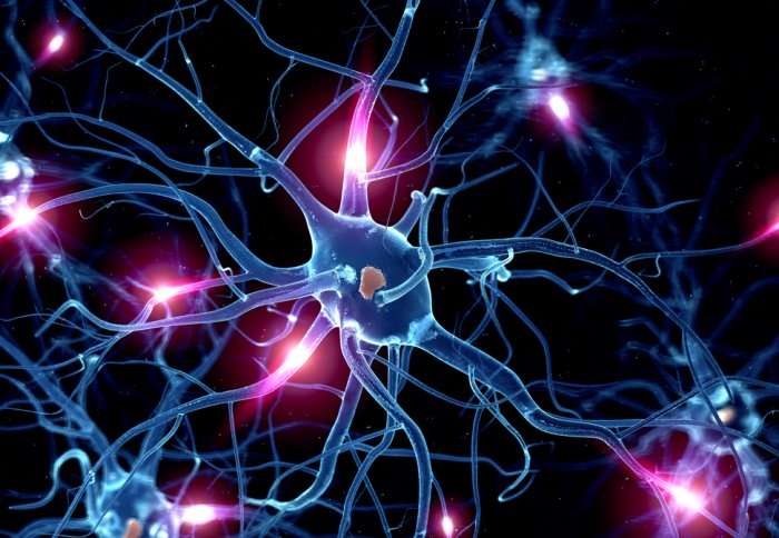 Rethinking serotonin could lead to a shift in psychiatric care