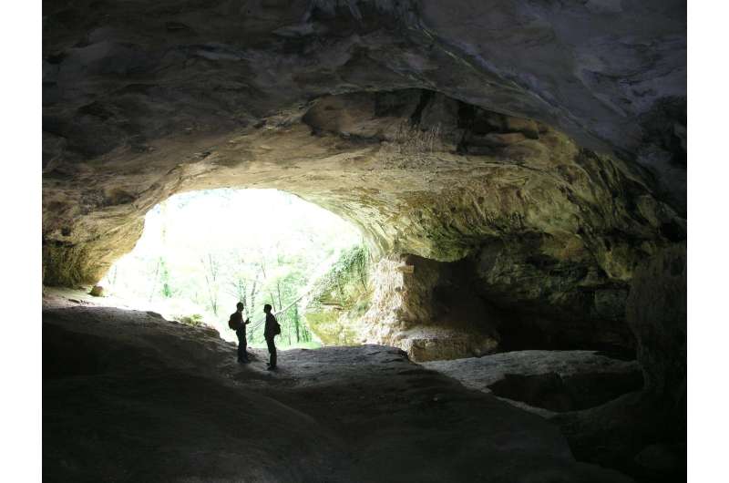 New dating of Neanderthal remains from Vindija Cave finds them older than thought