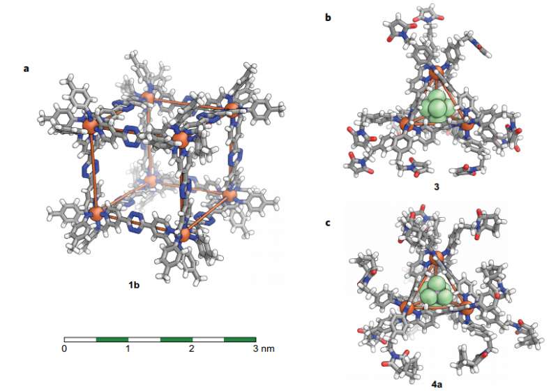 Covalent post-assembly modification cascade of self-assembled supramolecular structures
