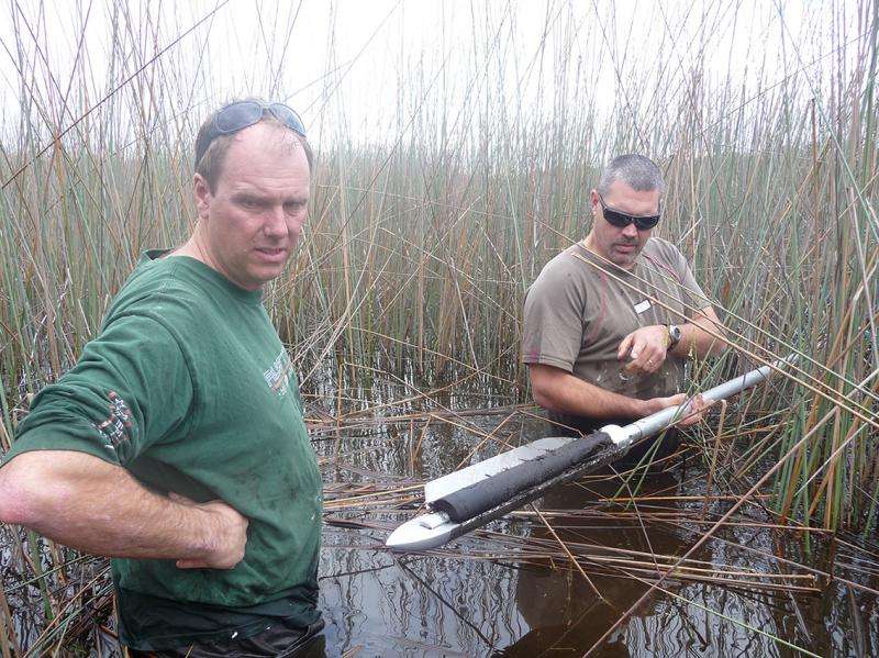 Ancient wetlands offer window into climate change