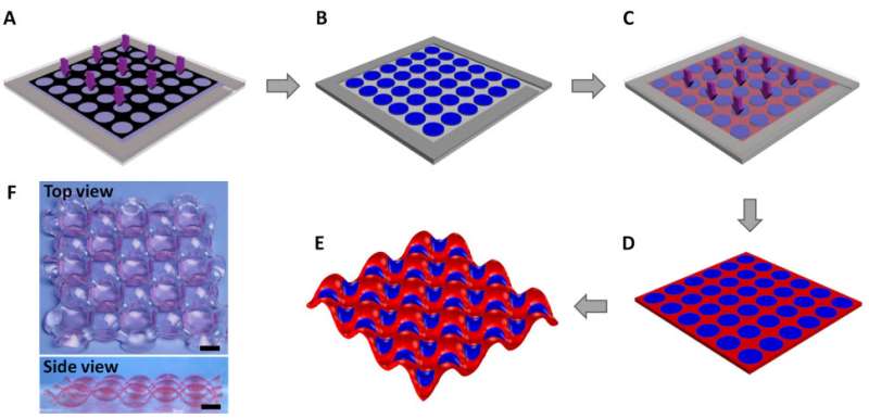 Periodically-patterned hydrogels: a model for cooperative deformation