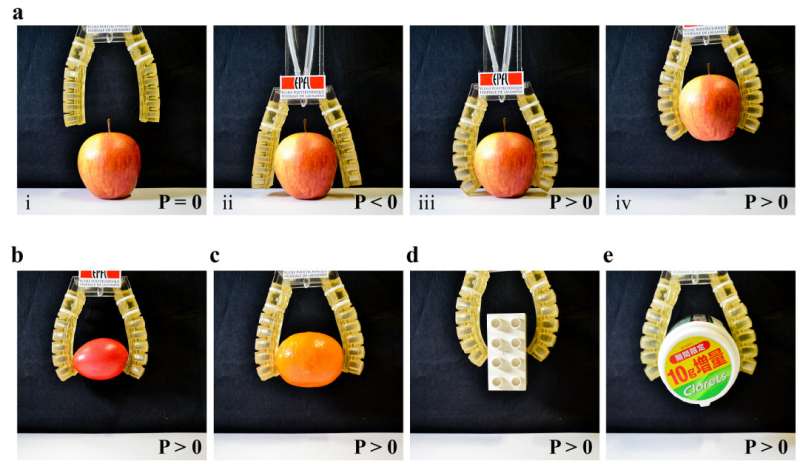 EPFL researchers show edible actuator at IROS 2017