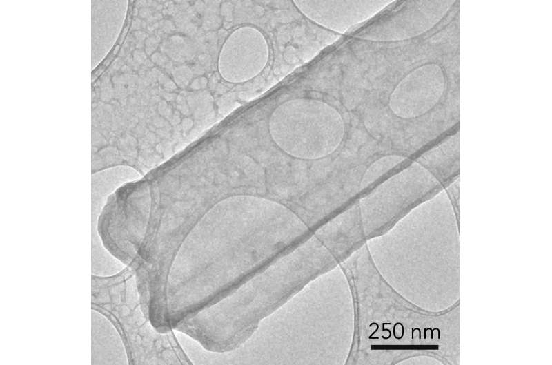Scientists get first close-ups of finger-like growths that trigger battery fires