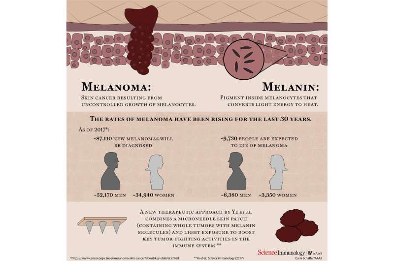 Cancer immunotherapy uses melanin against melanoma