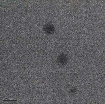 Scientists capture colliding organic nanoparticles on video for first time