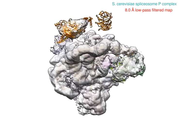 The spliceosome—now available in high definition