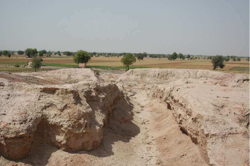 Scientists show how Himalayan rivers influenced ancient Indus civilization settlements
