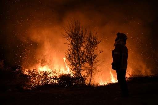 A firefighter observes the flames while trying to extinguish a fire in Cabanoes near Louzan as wildfires rage in Portugal in Oct