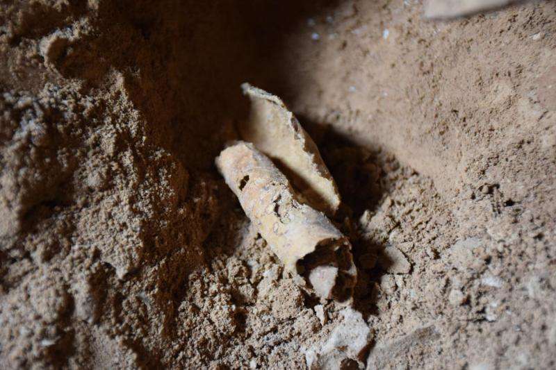 Archaeologists find 12th Dead Sea Scrolls cave
