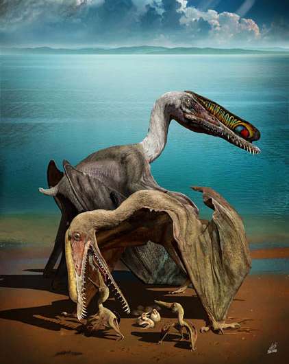 Exceptionally preserved eggs and embryos reveal the life history of a pterosaur