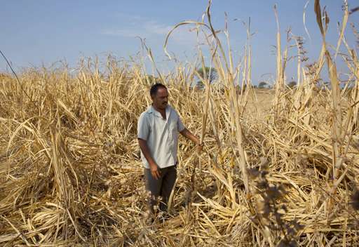 Farmer suicides rise in India as climate warms, study shows