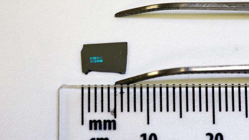 Researchers build brain-on-a-chip