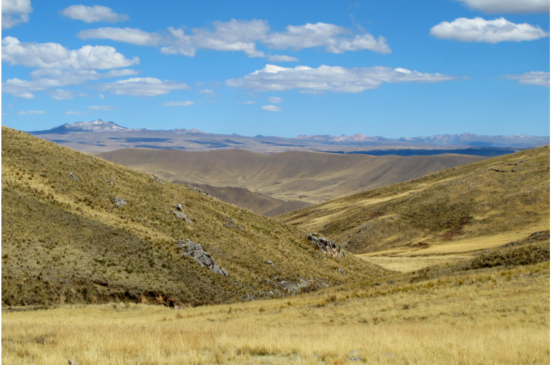 Researchers document early, permananet human settlement in Andes