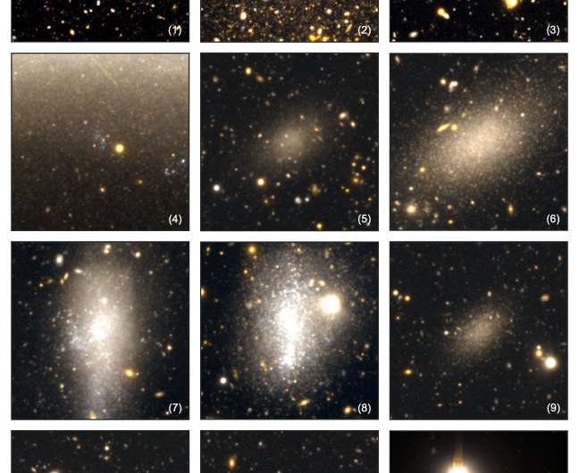 Uncovering the origins of galaxies' halos